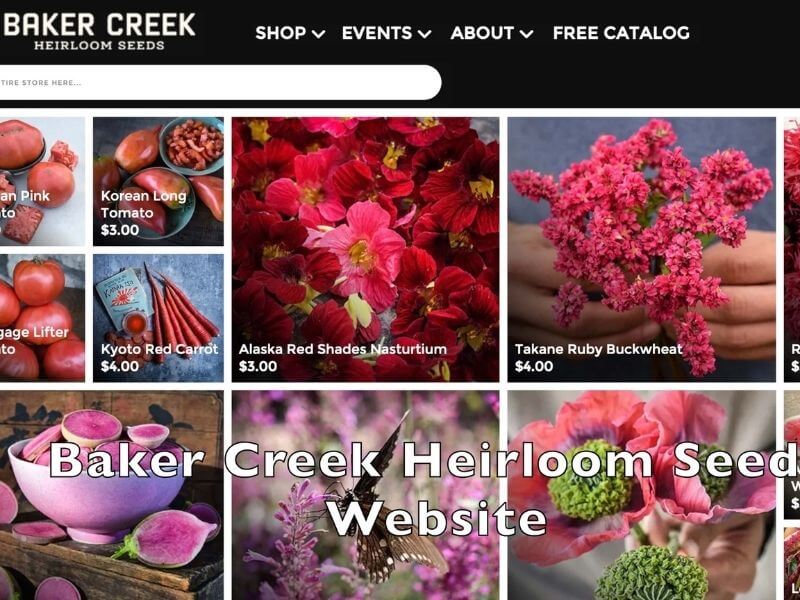 a computer screenshot of Baker Creek's website front page