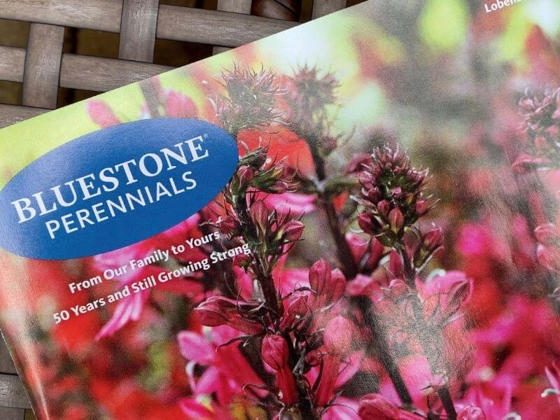 shown is part of Bluestone Perennials catalog front cover