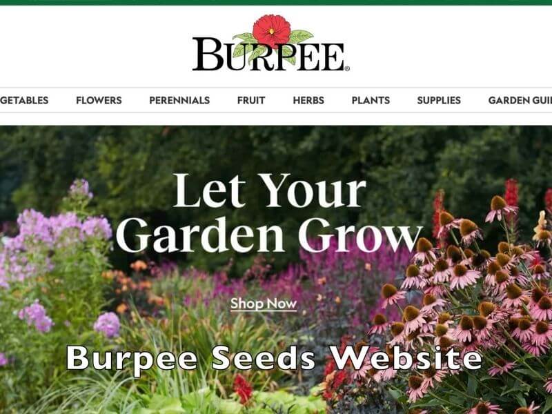 a computer screenshot of Burpee's website front page