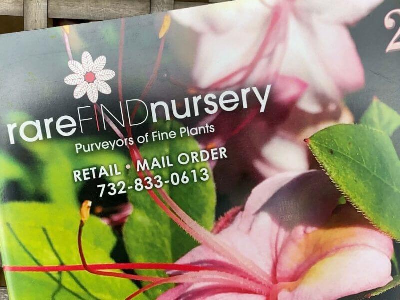 shown is part of Rare Find Nursery's catalog front cover