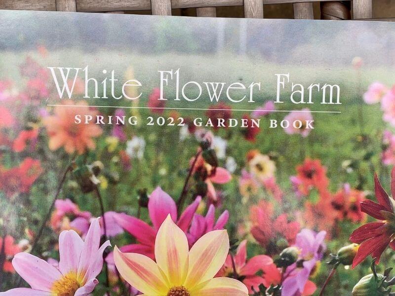 shown is part of White Flower Farm's catalog front cover