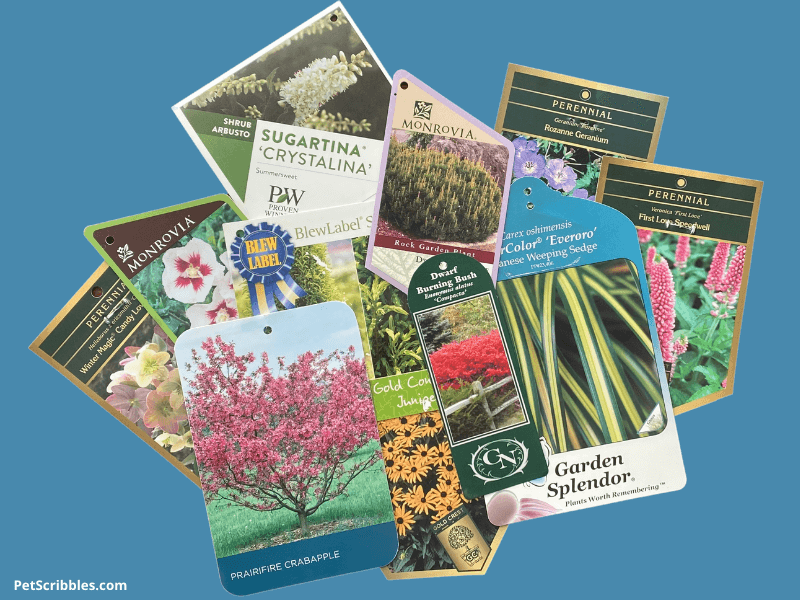 a collection of colorful plant tags for perennials, trees and shrubs