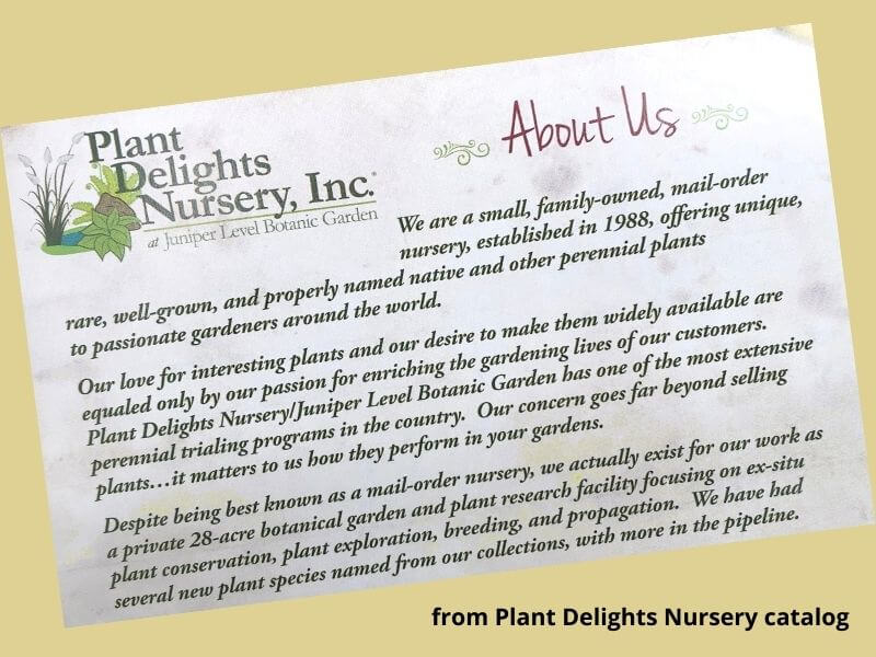 shown is About Us page from Plant Delights Nursery Catalog