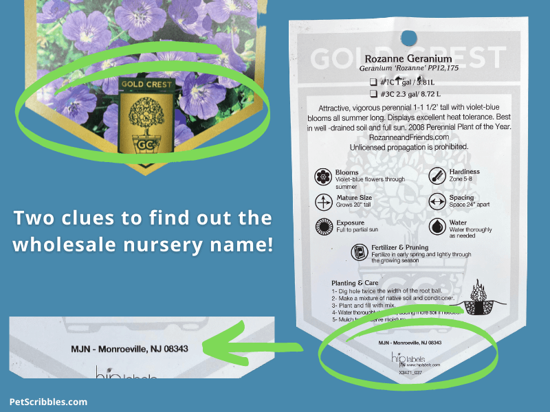 image shows plant tag info circled to highlight the wholesale nursery who grew and sold the plant