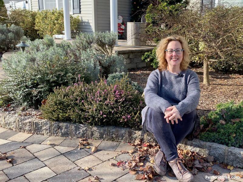 smiling woman sitting on the edge of a foundation garden bed filled with shrubs during Winter (no snow in photo)